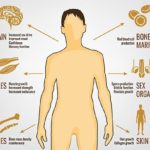Mens-Health-and-Testosterone